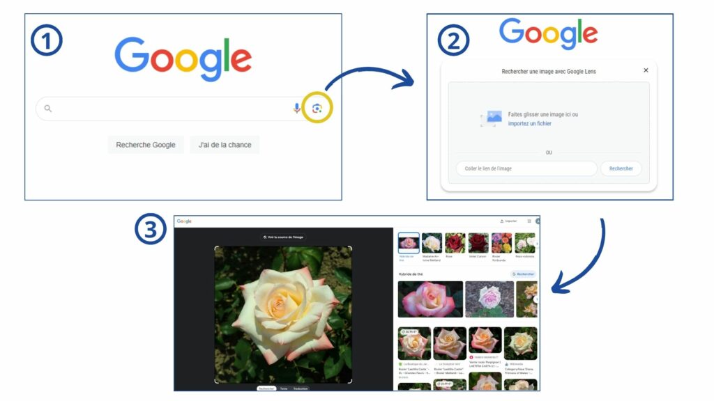 Google lens exemple